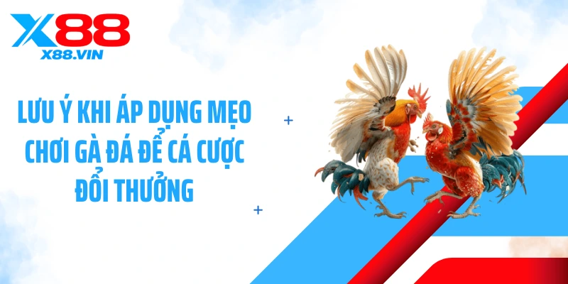 Lưu ý khi áp dụng mẹo chơi gà đá để cá cược đổi thưởng