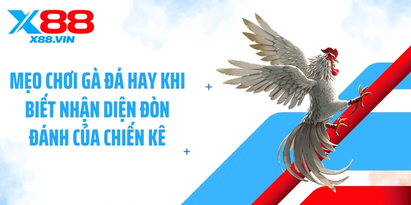 Mẹo chơi gà đá hay khi biết nhận diện đòn đánh của chiến kê